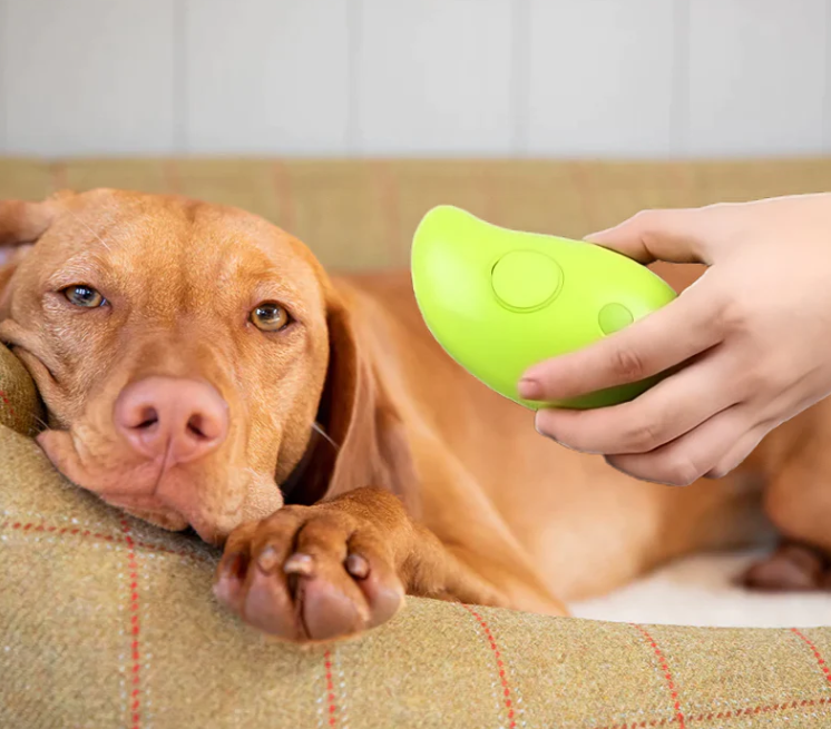 Aussie Dream Shop™ STEAMY PET BRUSH